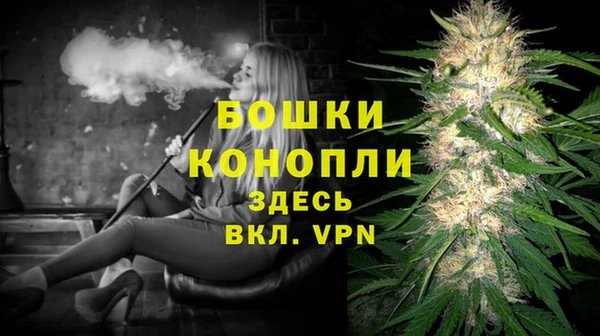шишки Зеленокумск