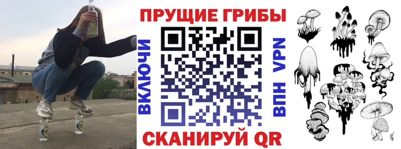 Псилоцибиновые грибы мицелий наркота Козловка